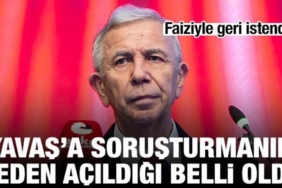 mansur-yavasa-sorusturmanin-neden-acildigi-belli-oldu-faiziyle-geri-istendi-JYXmu1zr.jpg