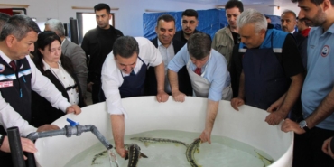 siyah-inci-karadenize-saliniyor-kilosu-90-bin-lira-sayi-30-bini-asti-tymbj24e.jpg