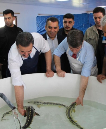 siyah-inci-karadenize-saliniyor-kilosu-90-bin-lira-sayi-30-bini-asti-tymbj24e.jpg