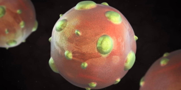 1997den-sonra-yeniden-gundemde-hantavirus-pandemiye-donusur-mu-XwmDeD4S.jpg