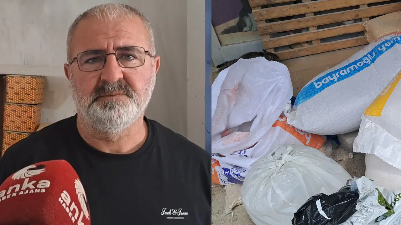 artvinde-hayvancilik-alarm-veriyor-calisan-degil-parasini-bekleten-kazaniyor-rv3nrKbt.jpg