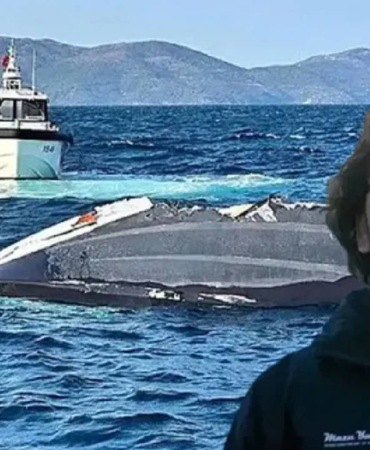 halit-yukayin-olumune-iliskin-davada-korkunc-iddia-denizde-olume-mi-terk-edildi-8FOD6BvG.jpg