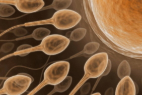 kisirlik-tedavisinde-yeni-teknoloji-yapay-zekayla-sperm-bulunuyor-PdmcbrI2.jpg
