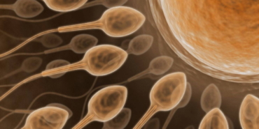 kisirlik-tedavisinde-yeni-teknoloji-yapay-zekayla-sperm-bulunuyor-PdmcbrI2.jpg