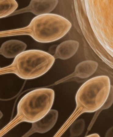 kisirlik-tedavisinde-yeni-teknoloji-yapay-zekayla-sperm-bulunuyor-PdmcbrI2.jpg