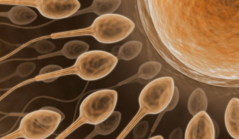kisirlik-tedavisinde-yeni-teknoloji-yapay-zekayla-sperm-bulunuyor-PdmcbrI2.jpg