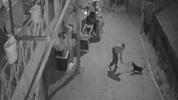 kopegi-demir-cubukla-olduren-supheli-tutuklandi-Mpz5ZqB2.jpg