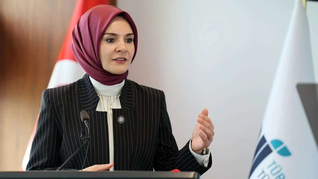 mahinur-ozdemir-goktas-2233731