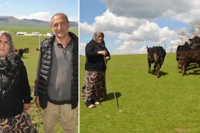 muslu-dort-cocuk-annesinin-basari-hikayesi-15-inekle-basladi-9-ayda-surusunu-ikiye-katladi-fwkecp2v.webp
