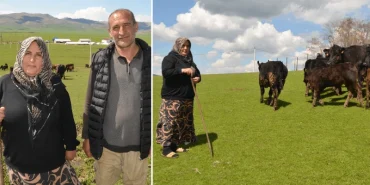 muslu-dort-cocuk-annesinin-basari-hikayesi-15-inekle-basladi-9-ayda-surusunu-ikiye-katladi-fwkecp2v.webp