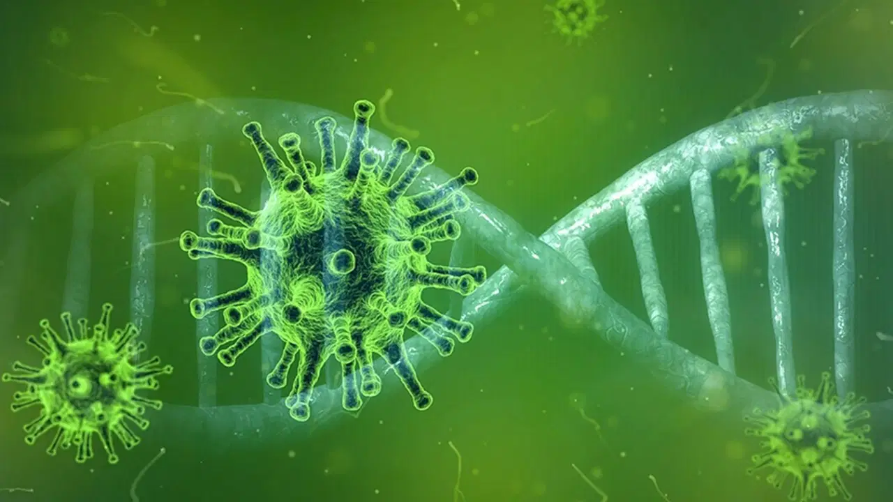 ttb-baskani-prof-dr-azaptan-kritik-hantavirus-degerlendirmesi-yeni-bir-pandemi-riski-var-mi-t2kIYLwj.jpg
